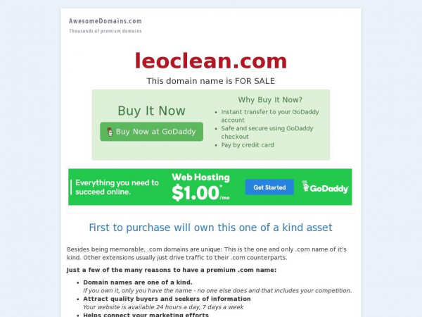 leoclean.com